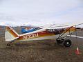 Alaska 2008 031